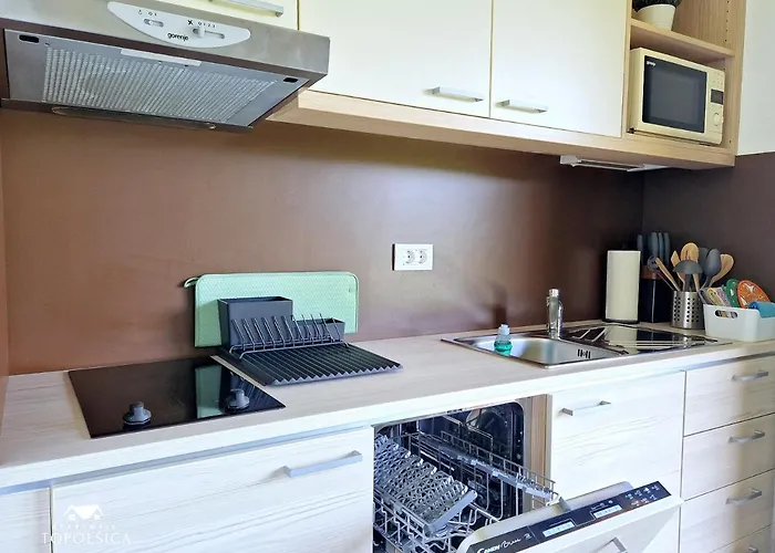 Daire Dren Near Terme Topolšica