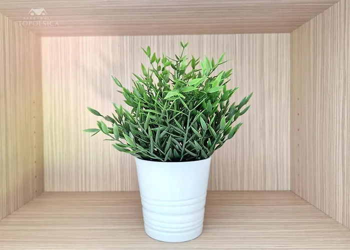 Dren Near Terme Topolšica